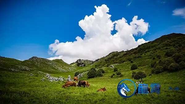第一篇自定义类型文章course
